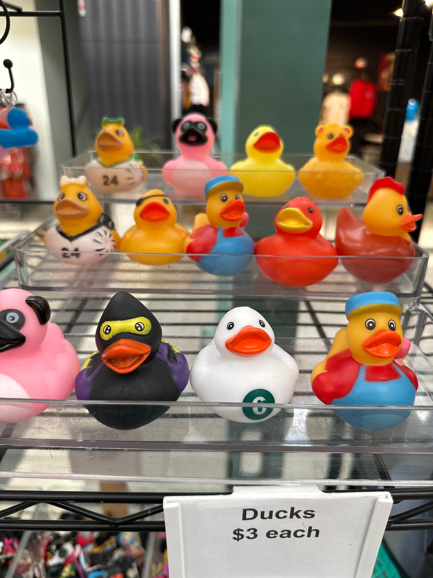 Misc. Novelty Rubber Ducks